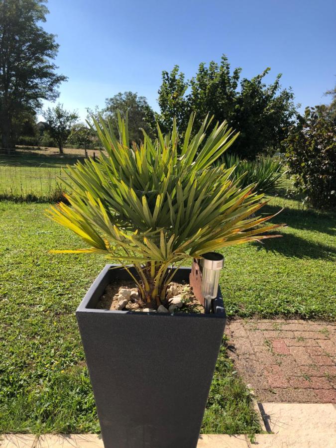 Holiday home Petite Depaysante